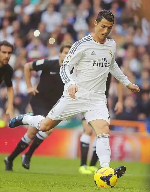 官方：奥克兰队长酒井宏树伤愈，客战中央海岸水手有望出战